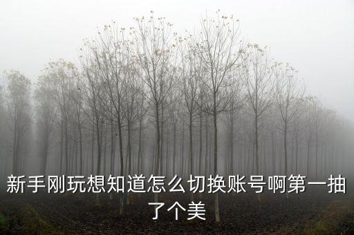 新手刚玩想知道怎么切换账号啊第一抽了个美