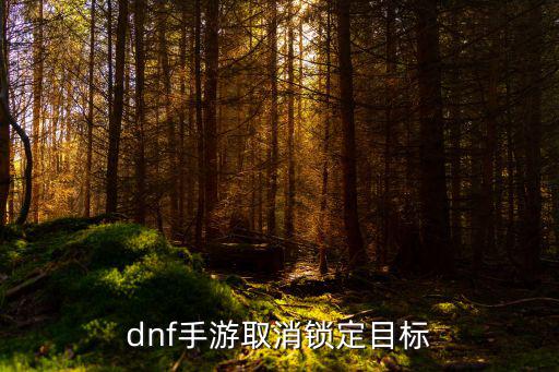 dnf手游取消锁定目标