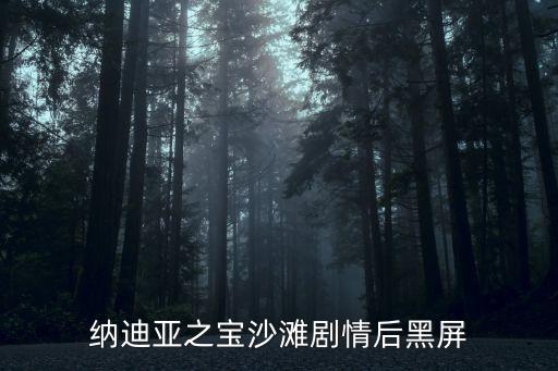 纳迪亚之宝沙滩剧情后黑屏