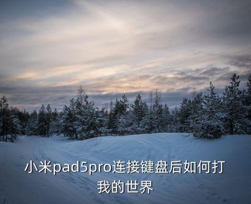 小米pad5pro连接键盘后如何打我的世界