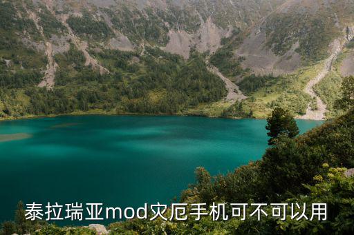 泰拉瑞亚mod灾厄手机可不可以用