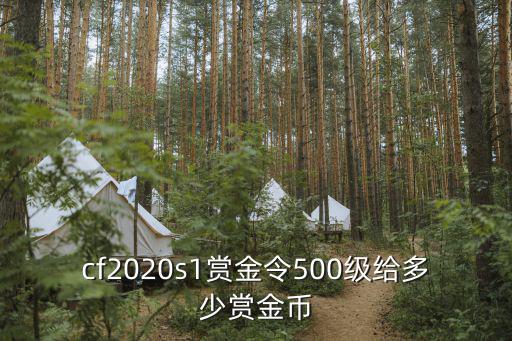 cf2020s1赏金令500级给多少赏金币