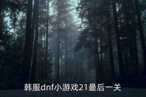 韩服dnf小游戏21最后一关