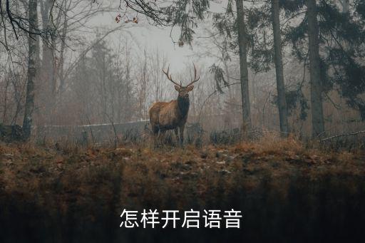 怎样开启语音