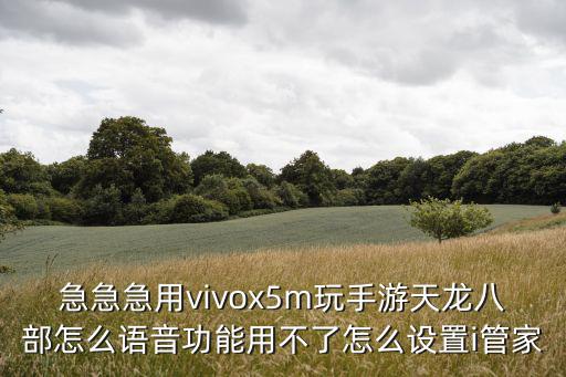 急急急用vivox5m玩手游天龙八部怎么语音功能用不了怎么设置i管家