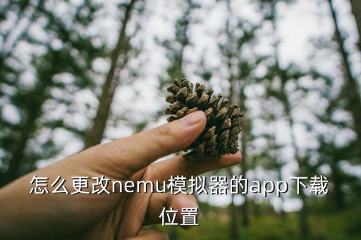 怎么更改nemu模拟器的app下载位置