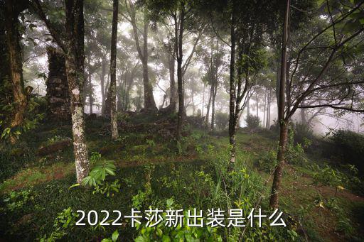 2022卡莎新出装是什么