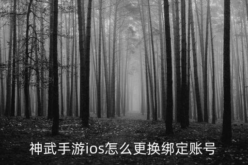 神武手游ios怎么更换绑定账号