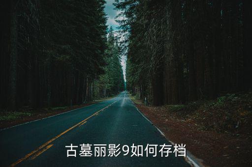 古墓丽影9如何存档