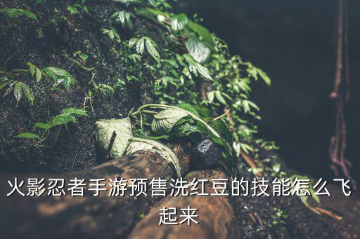 火影忍者手游预售洗红豆的技能怎么飞起来