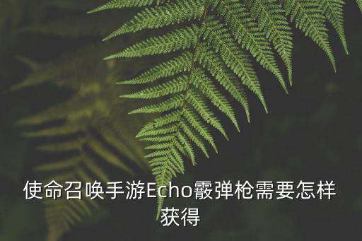 使命召唤手游Echo霰弹枪需要怎样获得