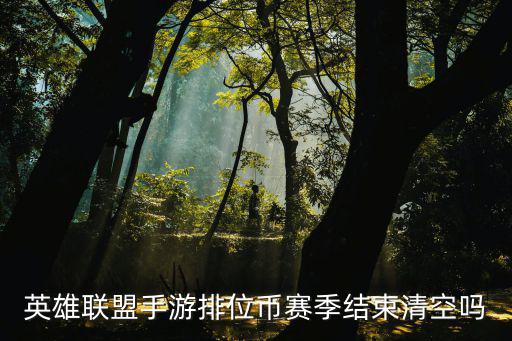 英雄联盟手游排位币怎么结算的，LOL手游每局能得多少排位币