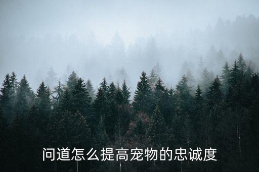 问道手游宠物忠诚怎么提升，问道手游宠物忠诚度怎么提升