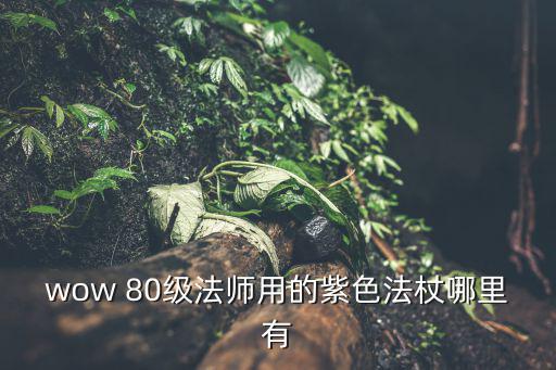 wow 80级法师用的紫色法杖哪里有