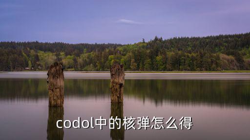 codol中的核弹怎么得