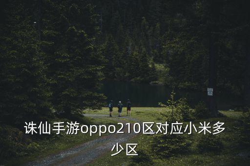 诛仙手游oppo210区对应小米多少区