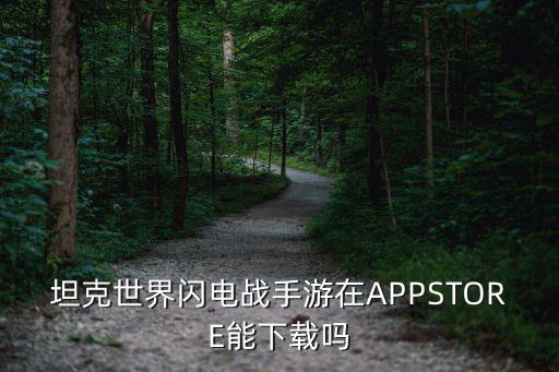 坦克世界闪电战手游亚服怎么下载，坦克世界闪电战手游在APPSTORE能下载吗