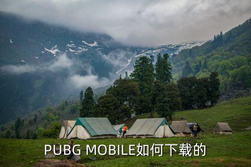 PUBG MOBILE如何下载的