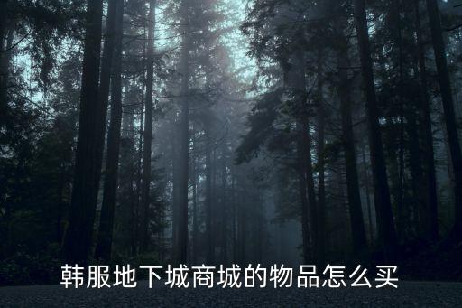 韩服dnf手游时装怎么购买，DNF韩服的时装是怎么弄的