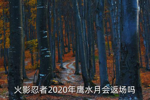 火影忍者2020年鹰水月会返场吗