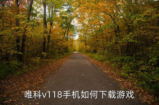 唯科v118手机如何下载游戏