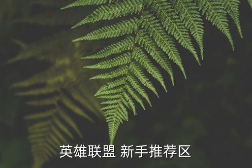 英雄联盟 新手推荐区