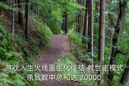 游戏人生火线里生化终结 救世主模式杀敌数中总和达 20000