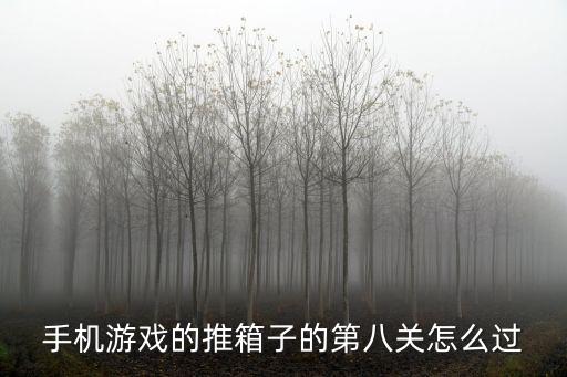 凹凸手游第8关怎么过视频，手机游戏的推箱子的第八关怎么过