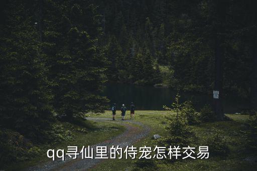 qq寻仙里的侍宠怎样交易