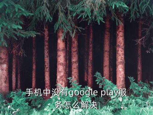 手机中没有google play服务怎么解决