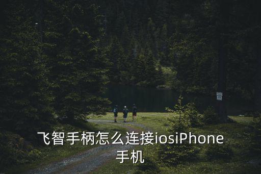 飞智手柄怎么连接iosiPhone手机