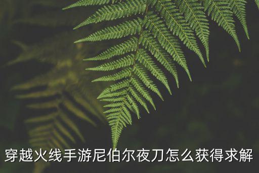 穿越火线手游尼伯尔夜刀怎么获得求解