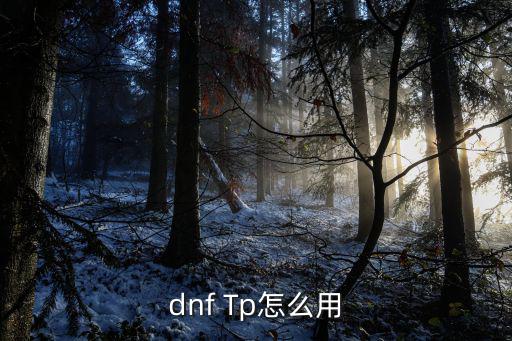 dnf Tp怎么用