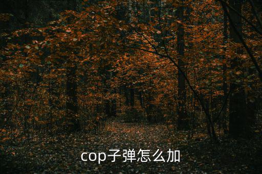 cop子弹怎么加