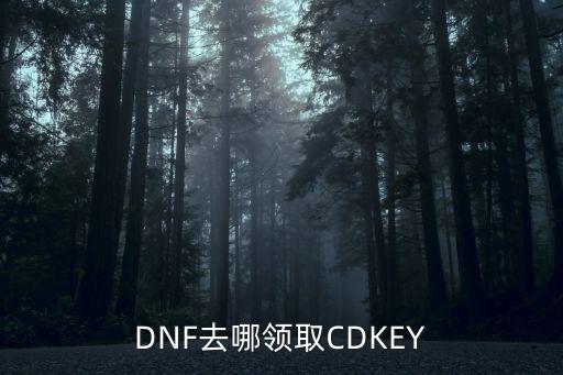 DNF去哪领取CDKEY