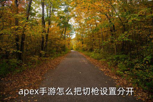 apex手游怎么把切枪设置分开