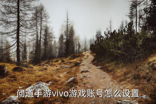 问道手游vivo游戏账号怎么设置