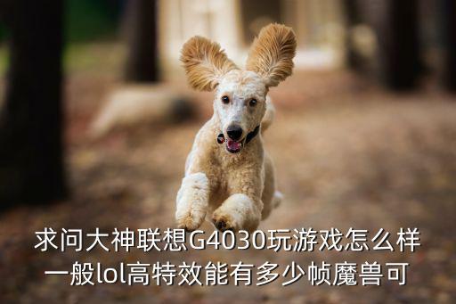 求问大神联想G4030玩游戏怎么样一般lol高特效能有多少帧魔兽可