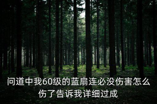 问道中我60级的蓝扇连必没伤害怎么伤了告诉我详细过成