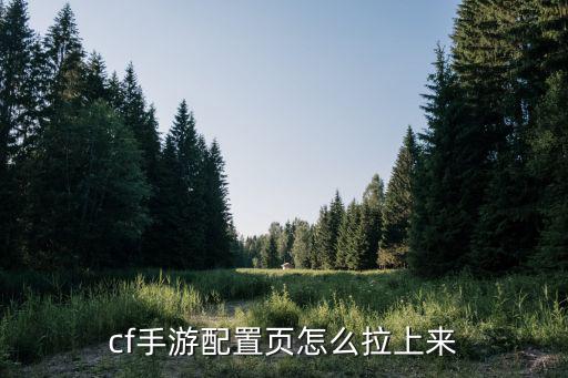 cf手游背包配置页怎么删除，游戏里的附加背包怎么删除又用不了