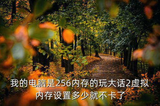 我的电脑是256内存的玩大话2虚拟内存设置多少就不卡了