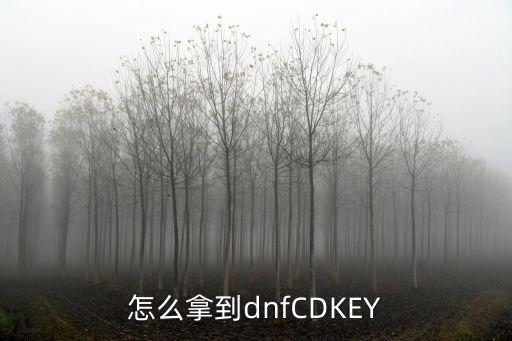 怎么拿到dnfCDKEY