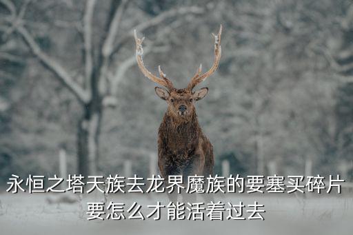 永恒之界手游迪波任务怎么过，永恒之塔天族去龙界魔族的要塞买碎片要怎么才能活着过去