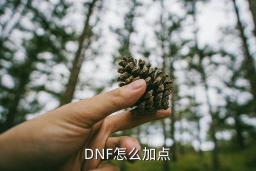 DNF怎么加点