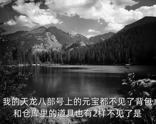 我的天龙八部号上的元宝都不见了背包和仓库里的道具也有2样不见了是