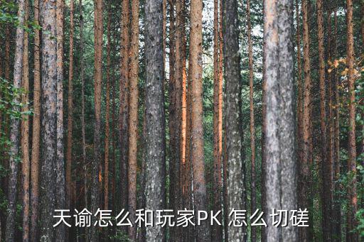 天谕怎么和玩家PK 怎么切磋