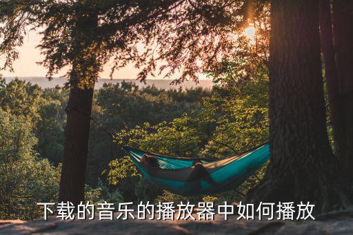 下载的音乐的播放器中如何播放