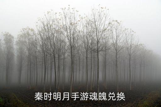 秦时明月手游魂魄兑换