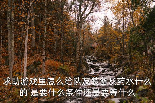 求助游戏里怎么给队友装备及药水什么的 是要什么条件还是要等什么