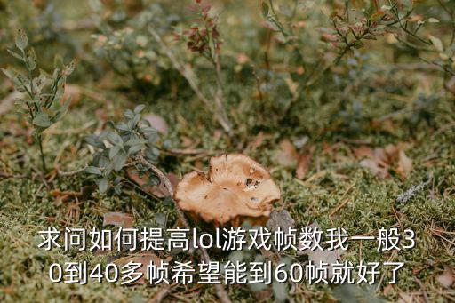 求问如何提高lol游戏帧数我一般30到40多帧希望能到60帧就好了